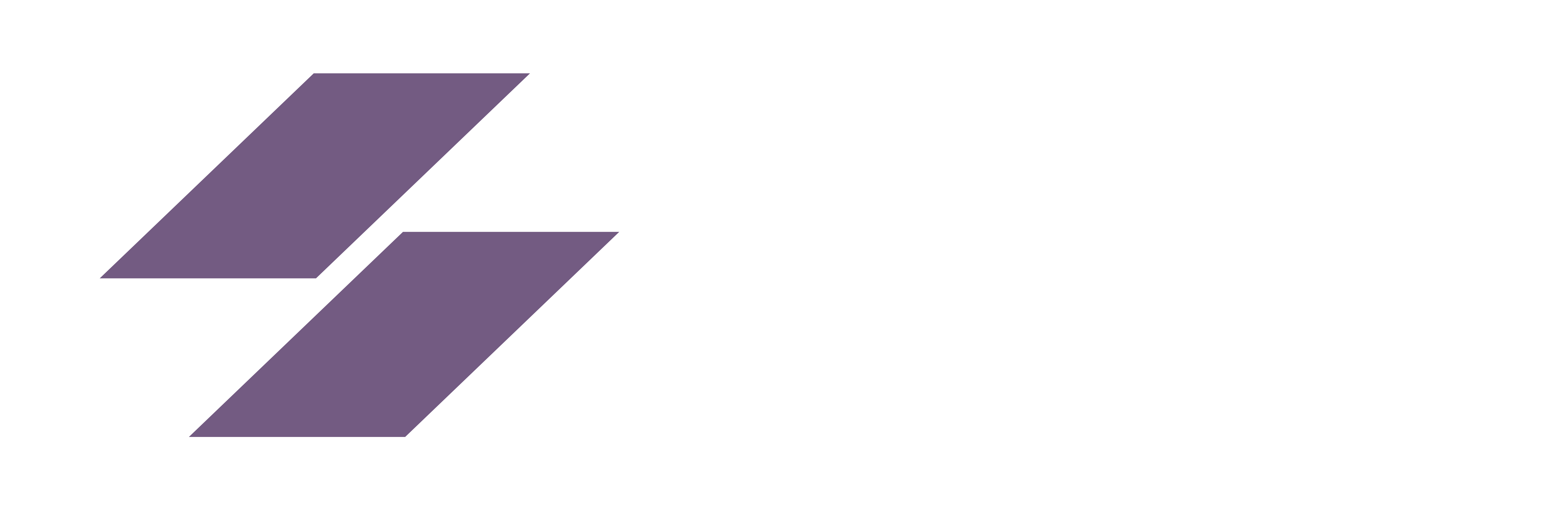 Rothex IT Services Logo